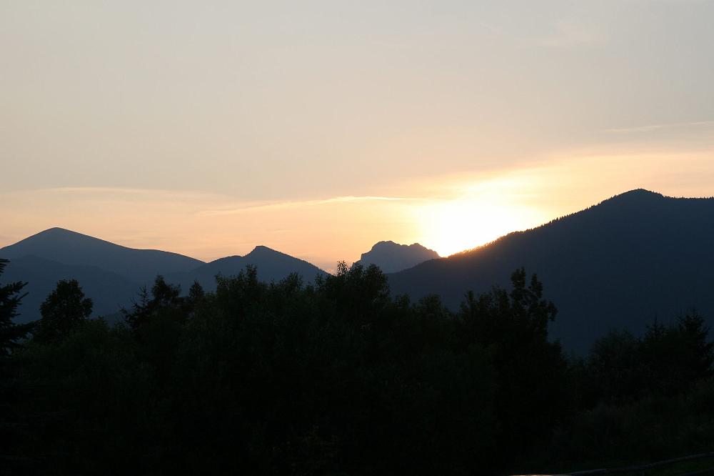 IMG_1364.jpg
