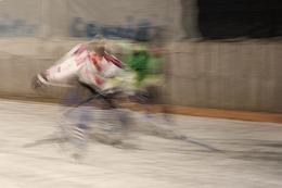 IMG_8248
