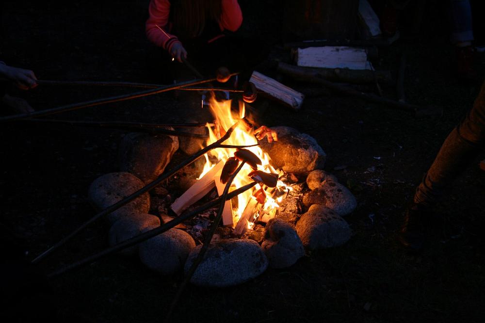 IMG_8197.jpg