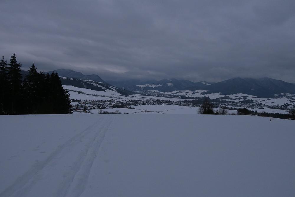 IMG_3529.jpg