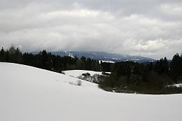 IMG_8406