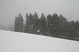 IMG_8583