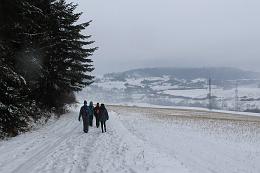 IMG_5649