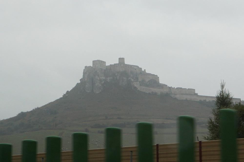 IMG_4787.jpg